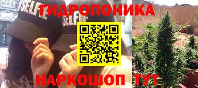 тгк Боровичи